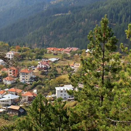 Alba * Momchilovtsi (Smolyan)